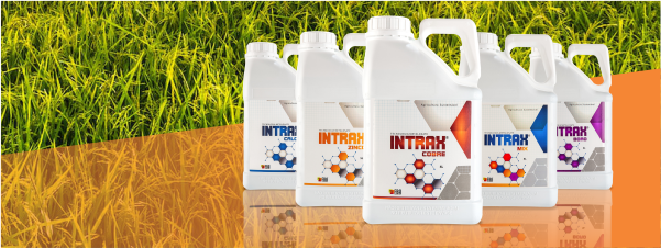 Banner de campanha especial de desconto para produtores rurais com imagem de lavoura e texto promocional