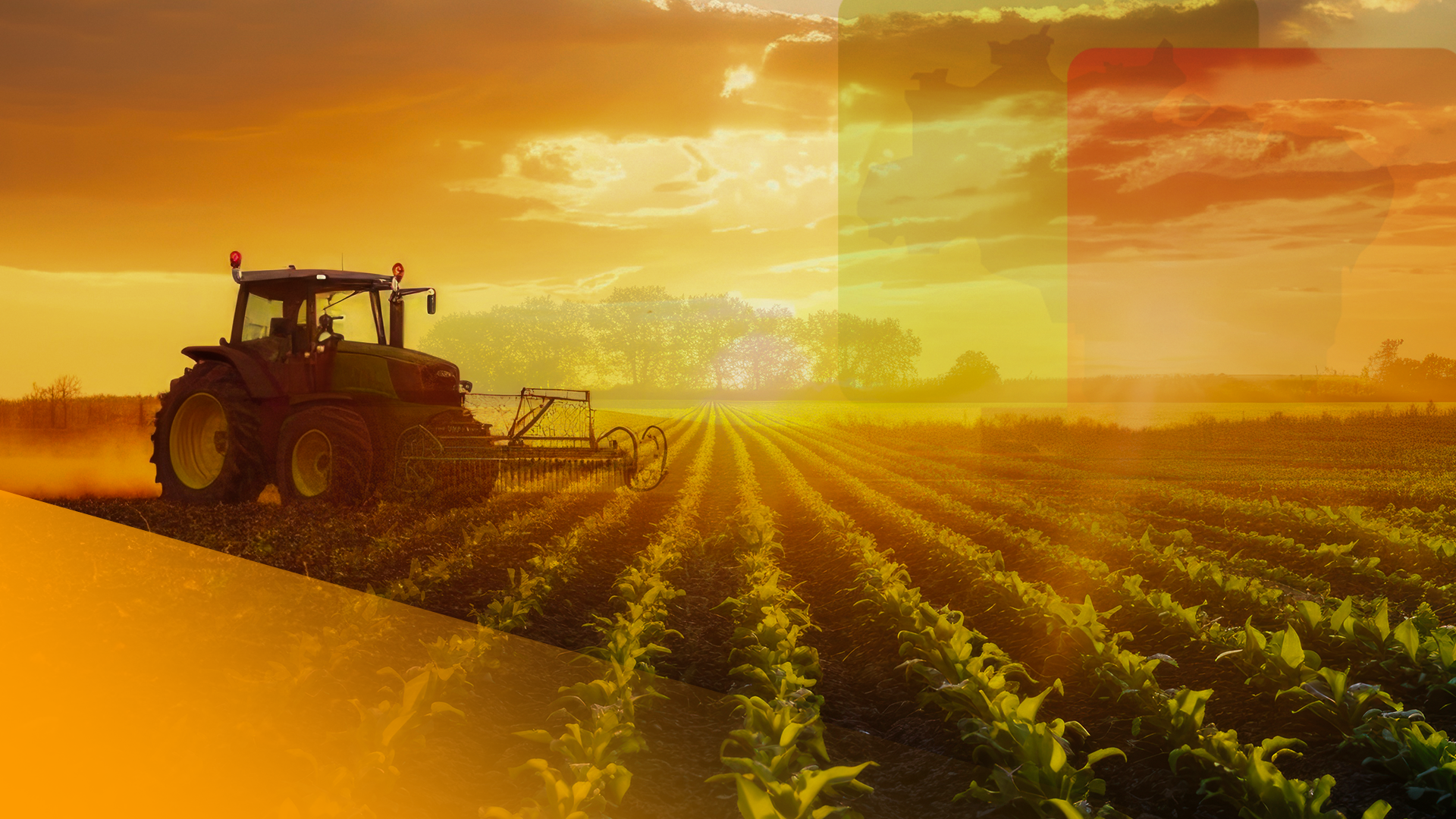 Paisagem agrícola sustentável com campos verdes e práticas ecológicas em harmonia com a natureza